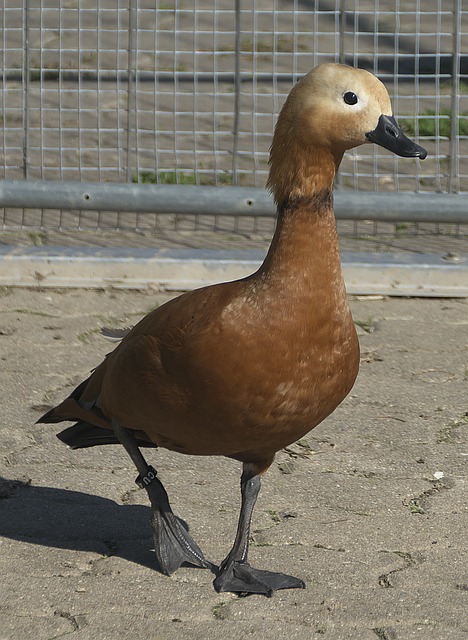 这一点上